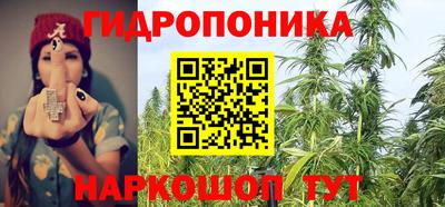 ПСИЛОЦИБИНОВЫЕ ГРИБЫ Гусев