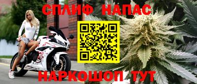 ПСИЛОЦИБИНОВЫЕ ГРИБЫ Гусев