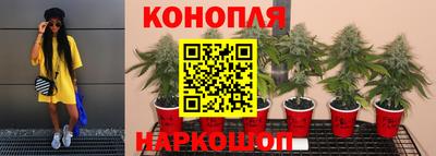 ПСИЛОЦИБИНОВЫЕ ГРИБЫ Гусев