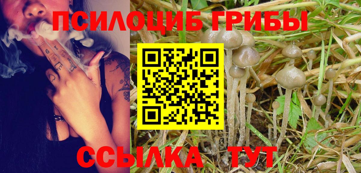 Лысьва  Псилоцибиновые грибы прущие грибы  Вход с VPN  Галлюциногенные грибы мицелий 